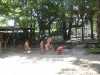 colonia-6_1