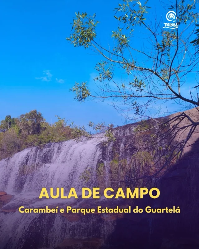 Estudantes em atividade de campo